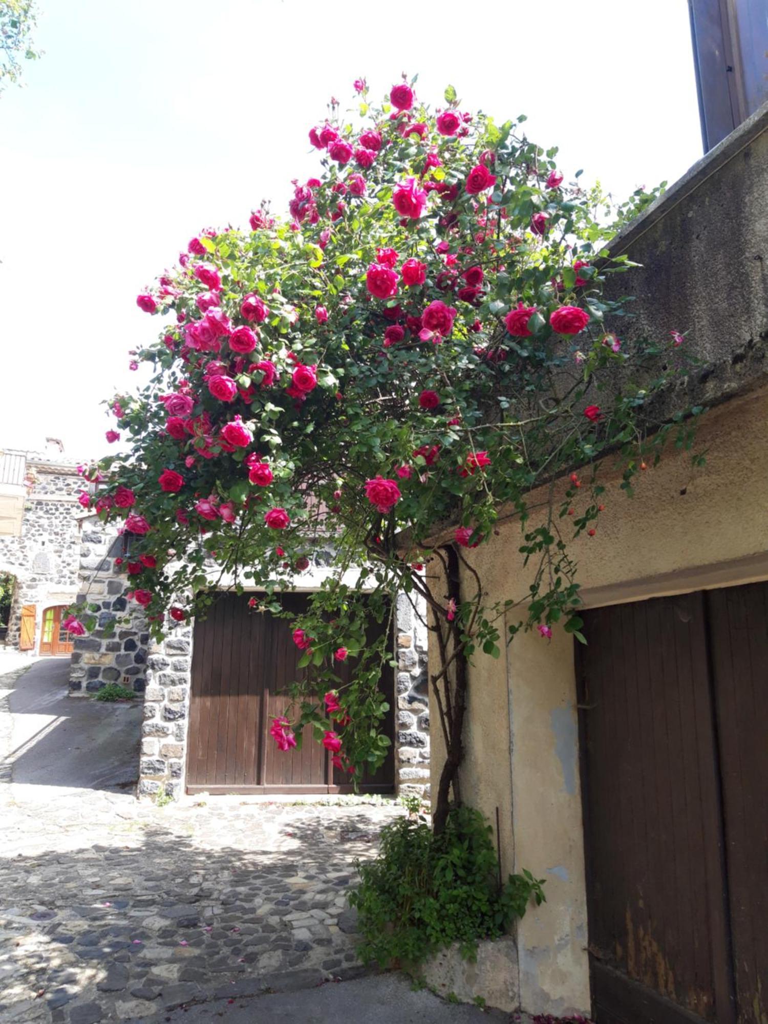 Le Cocon Villa Lussas Bagian luar foto