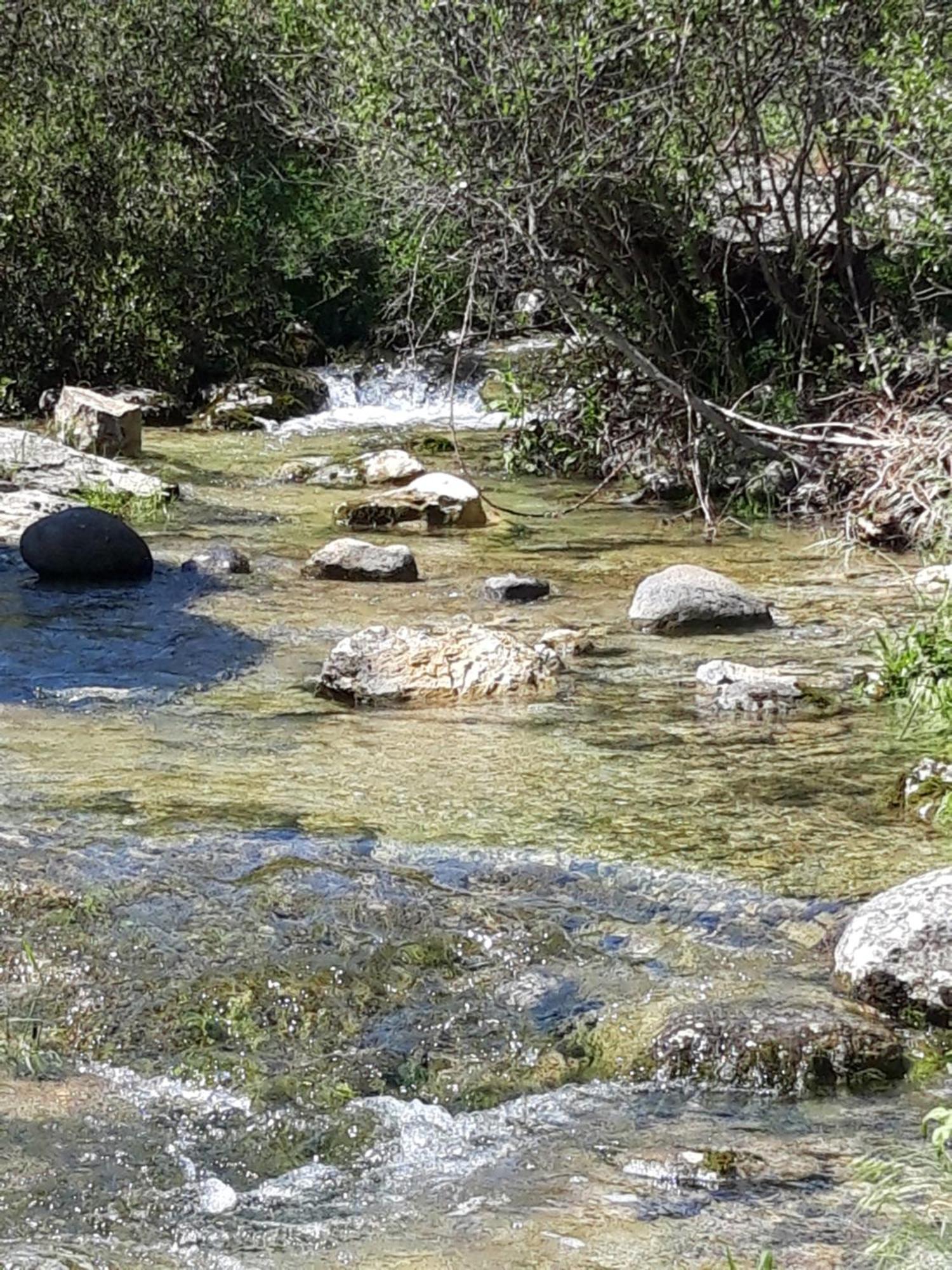 Le Cocon Villa Lussas Bagian luar foto